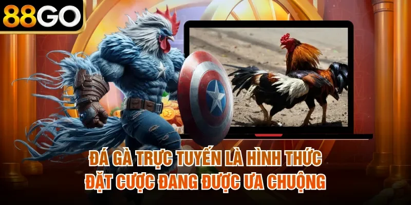 Đá gà trực tuyến là hình thức đặt cược đang được ưa chuộng