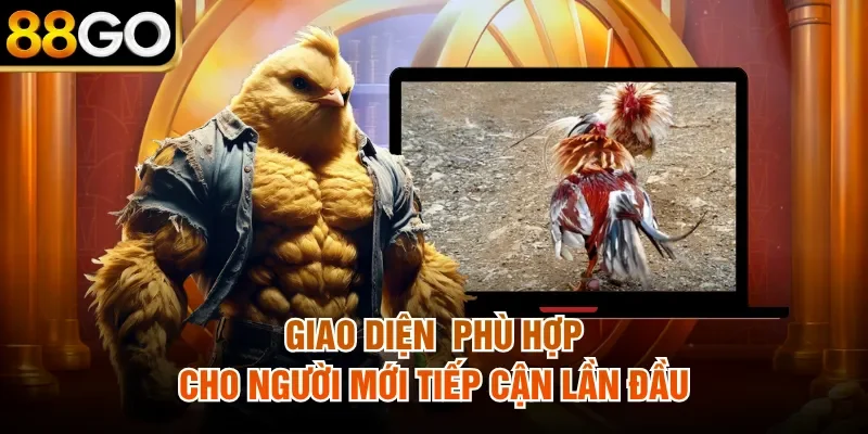 Giao diện  phù hợp cho người mới tiếp cận lần đầu