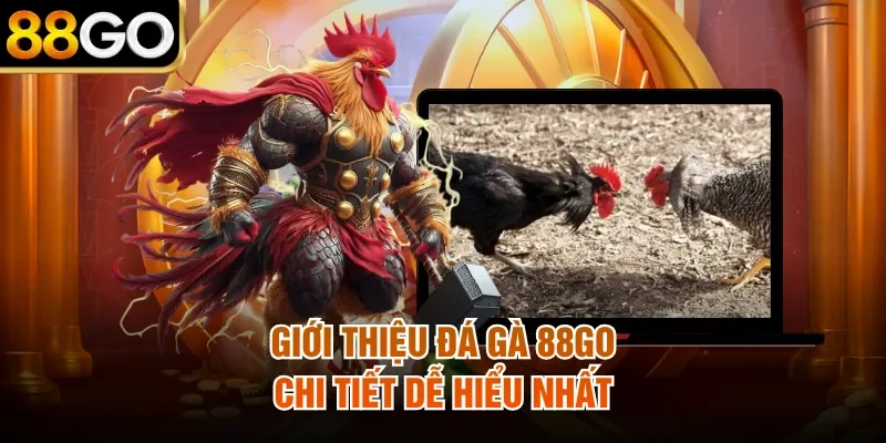 Giới thiệu đá gà 88Go chi tiết dễ hiểu nhất