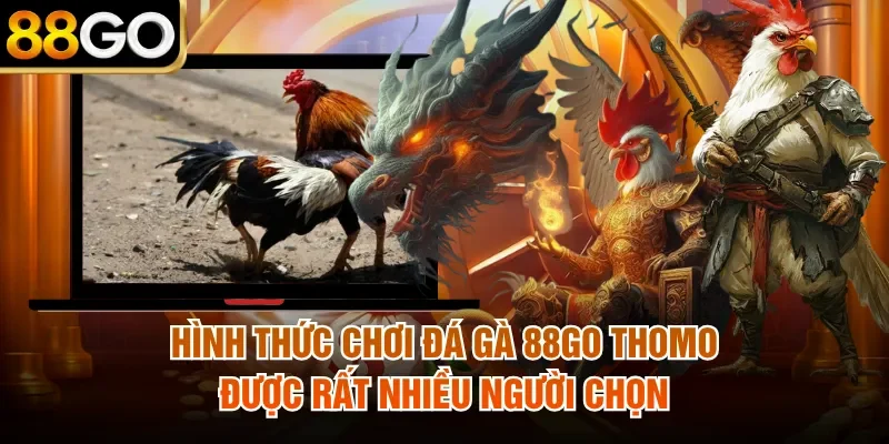 Hình thức chơi đá gà 88Go Thomo được rất nhiều người chọn