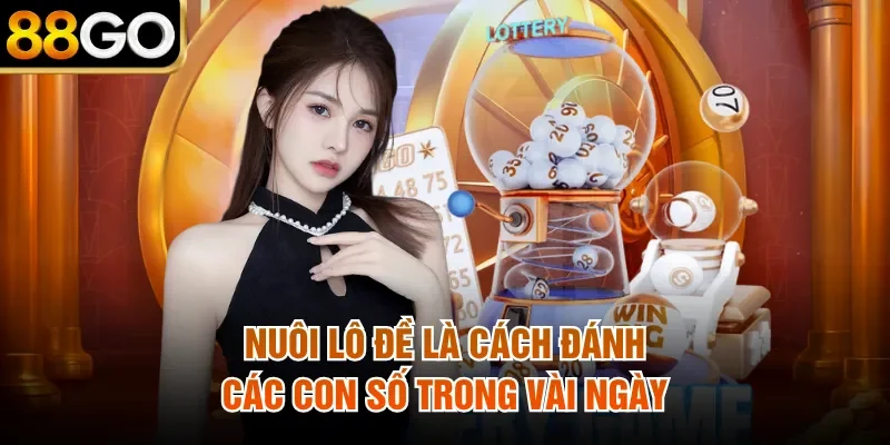 Nuôi lô đề là cách đánh các con số trong vài ngày